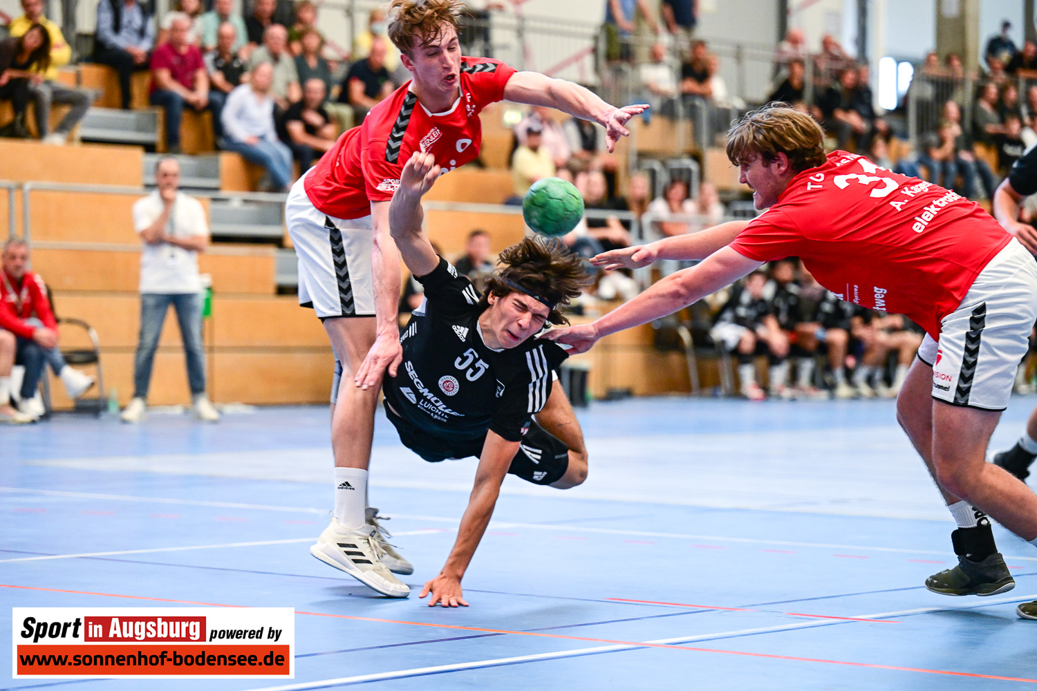 Friedberg Landshut Handball  AEV 2203