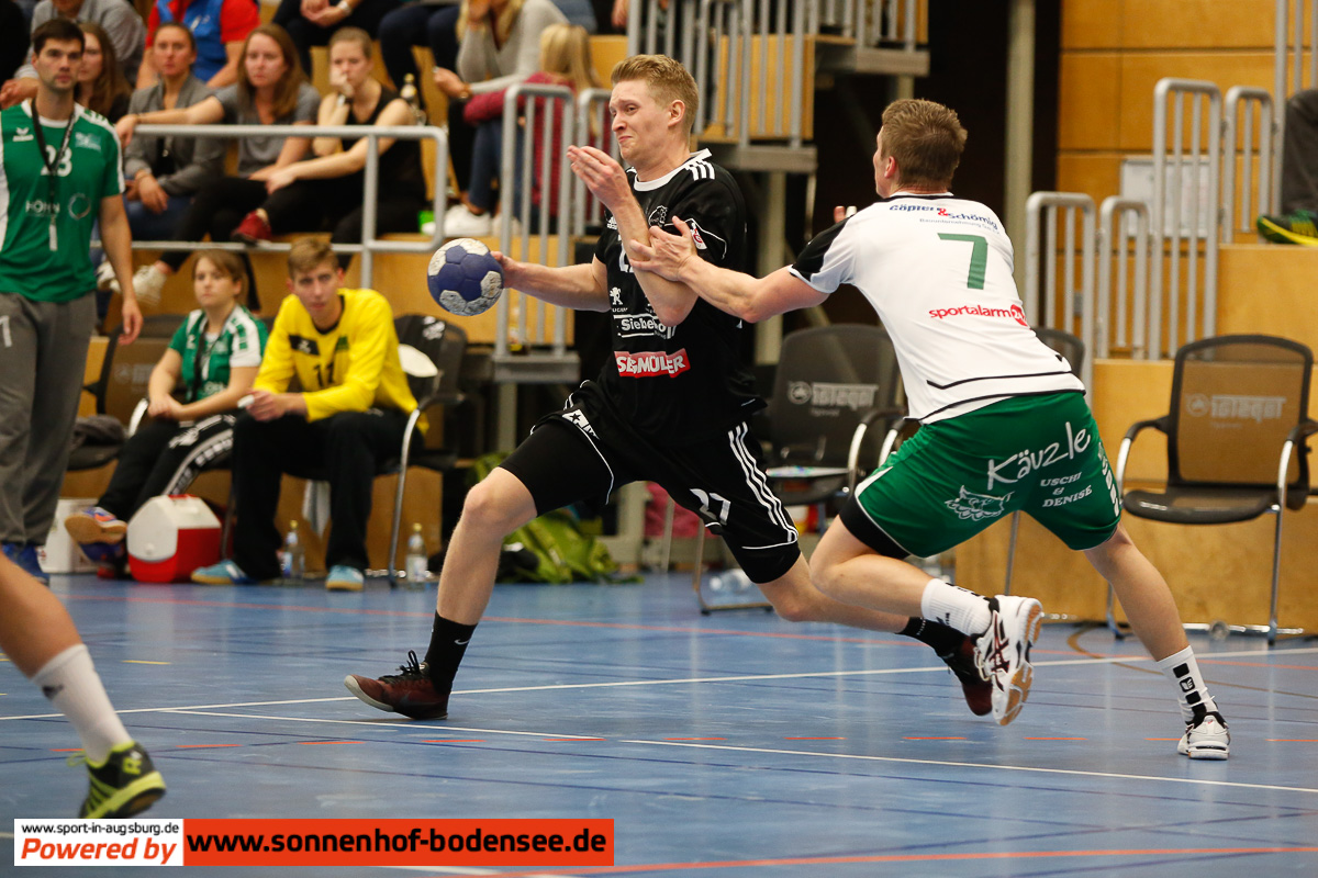 handball tsv friedberg  aal2693