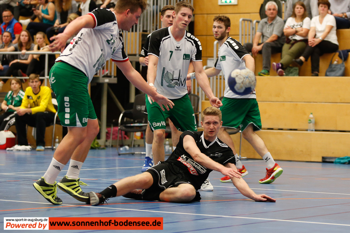 handball tsv friedberg  aal2716