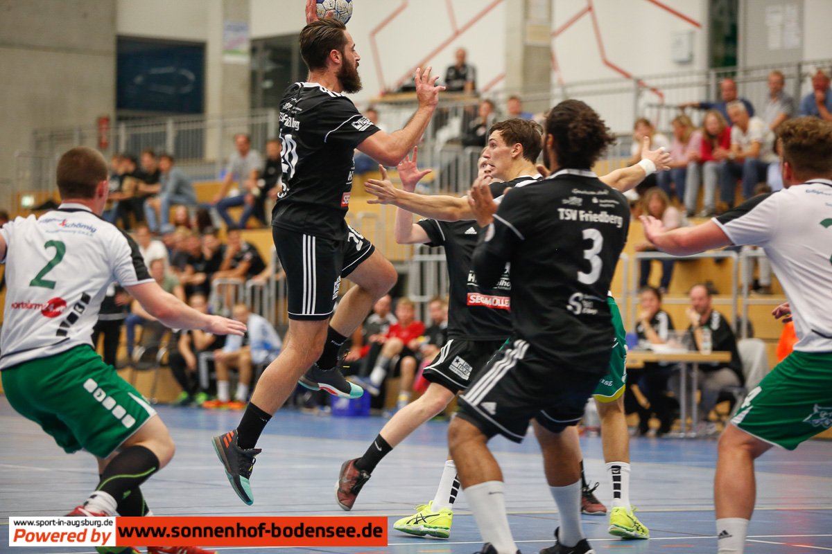 handball tsv friedberg  aal2719