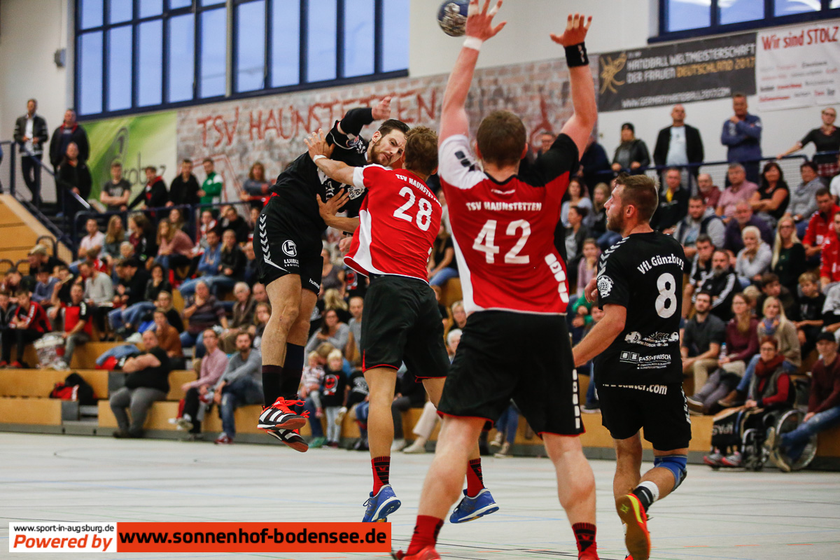 vfl guenzburg bayernliga handball  aa...