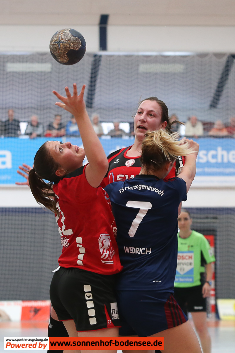 handball-in-augsburg a08y0499