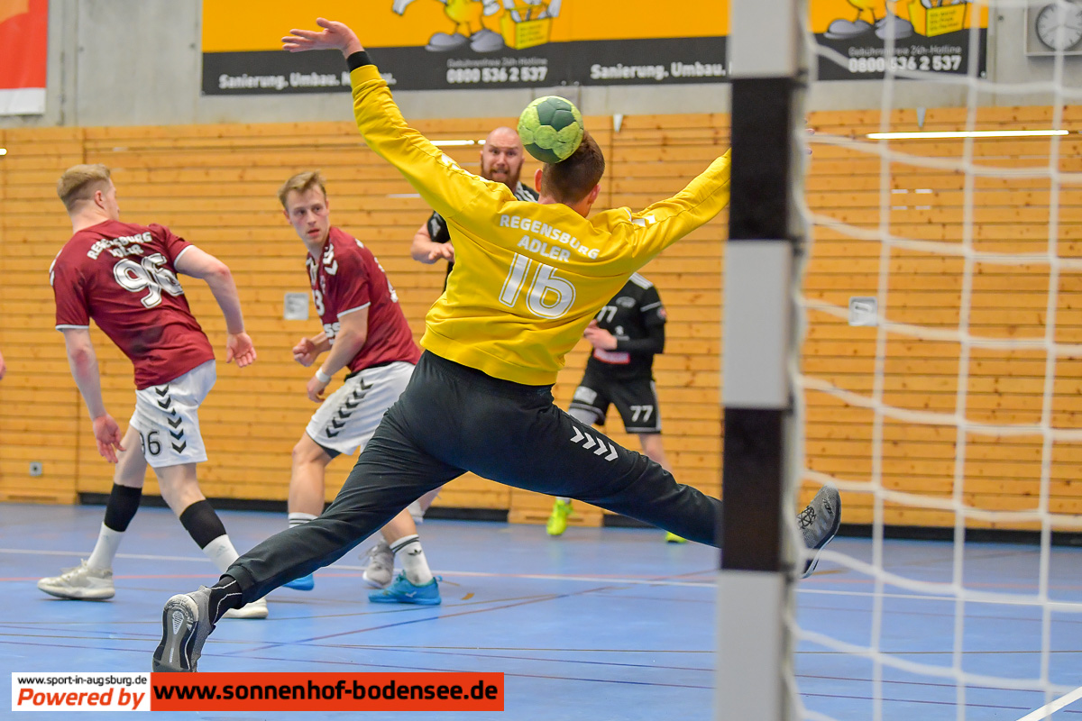 tsv friedberg handball d55 7248