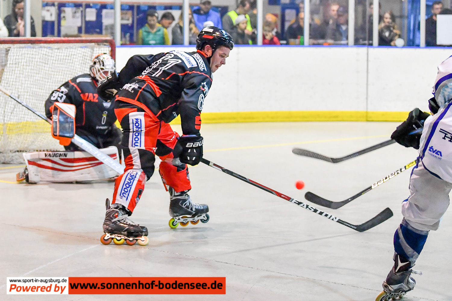 TVA Skaterhockey Bundesliga D55 9231