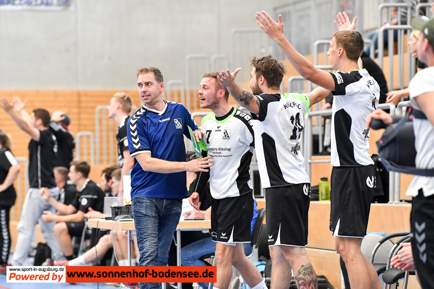 TSV Friedberg II Kissing  Handball DS...