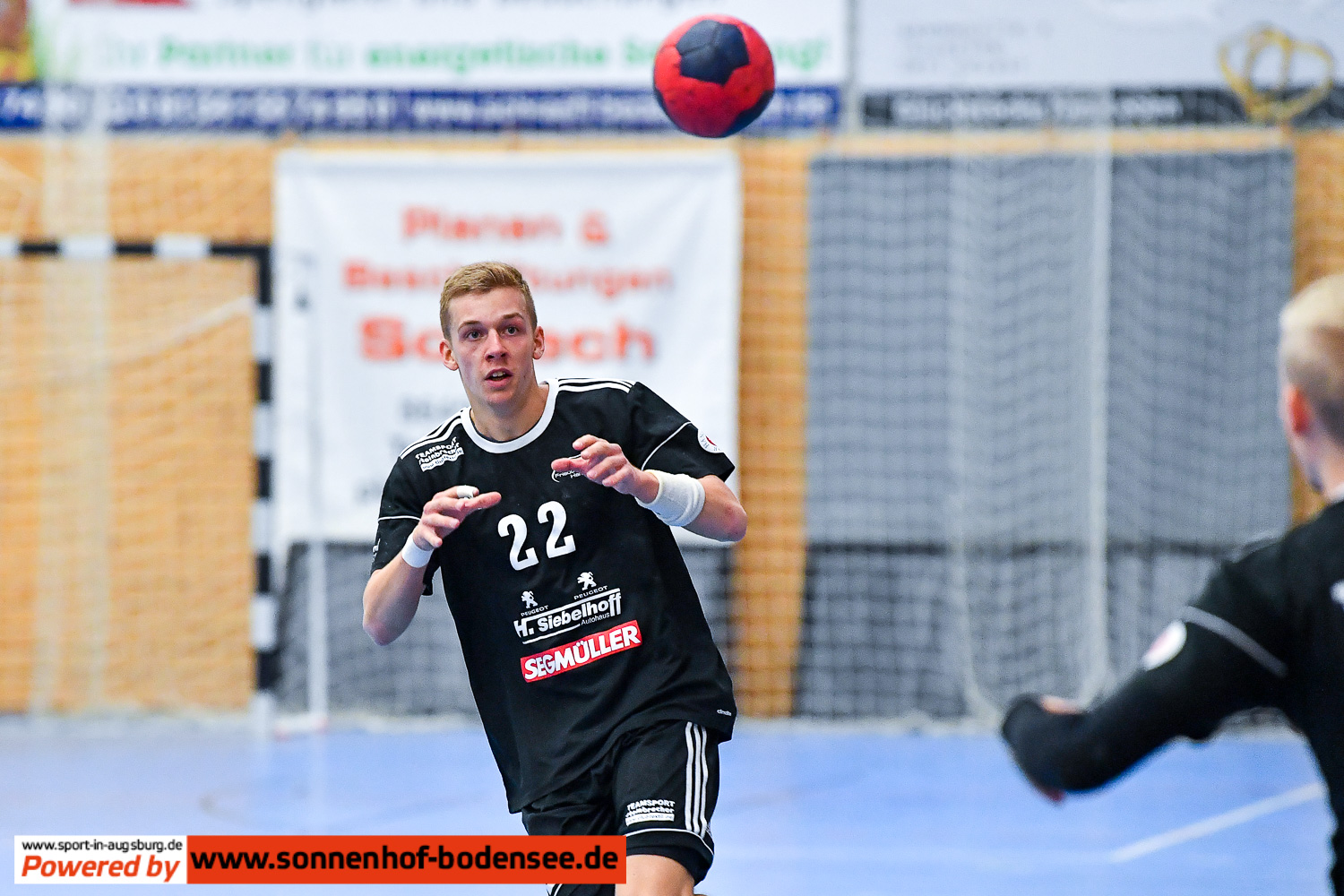 TSV Friedberg Handball  D55 3936