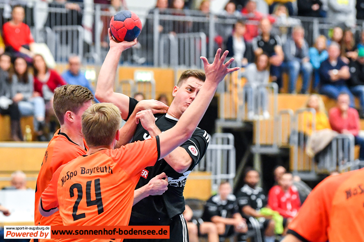 TSV Friedberg Handball  D55 3931