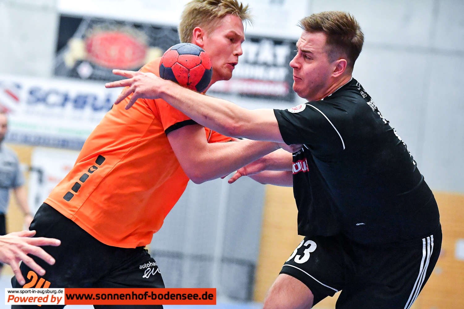 TSV Friedberg Handball  D55 3956