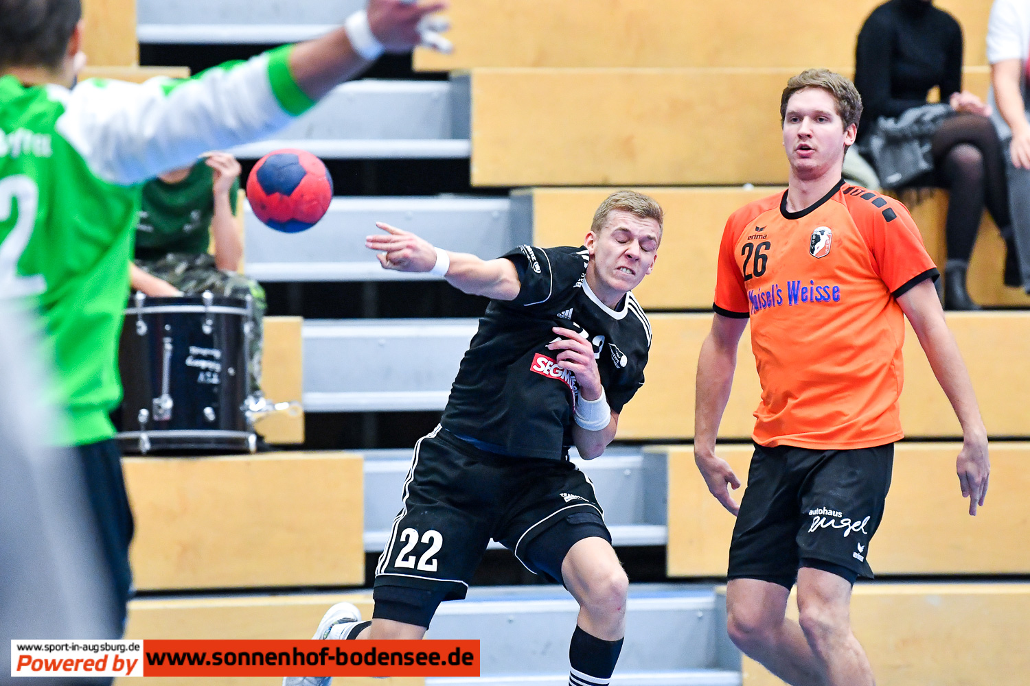 TSV Friedberg Handball  D55 3941