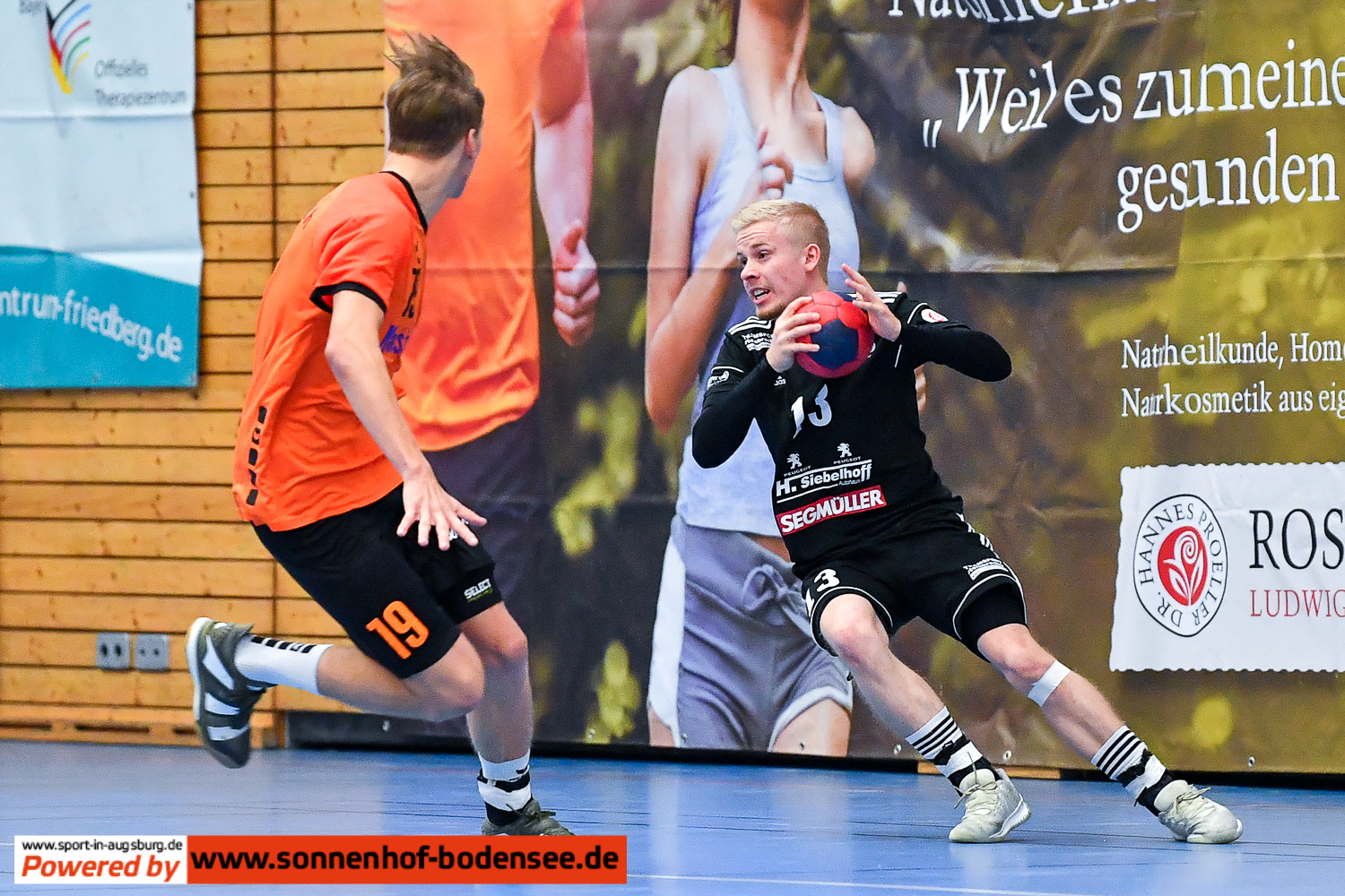 TSV Friedberg Handball  D55 3900