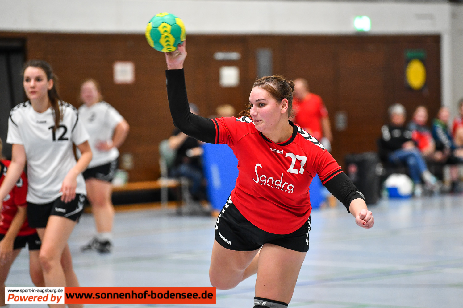 TSV Aichach Frauen Handball  AEV 1160