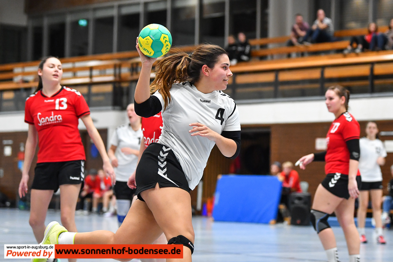 TSV Göggingen Frauen Handball  AEV 0879