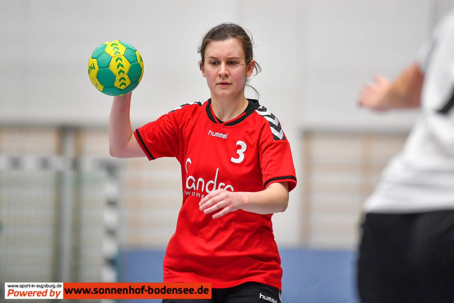 TSV Aichach Frauen Handball  AEV 1042