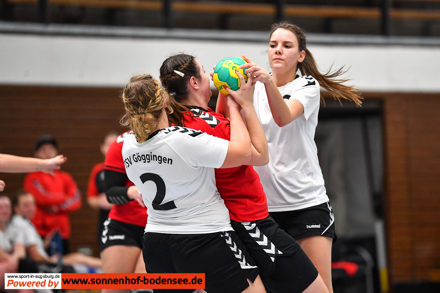Frauen Handball Augsburg  AEV 1143