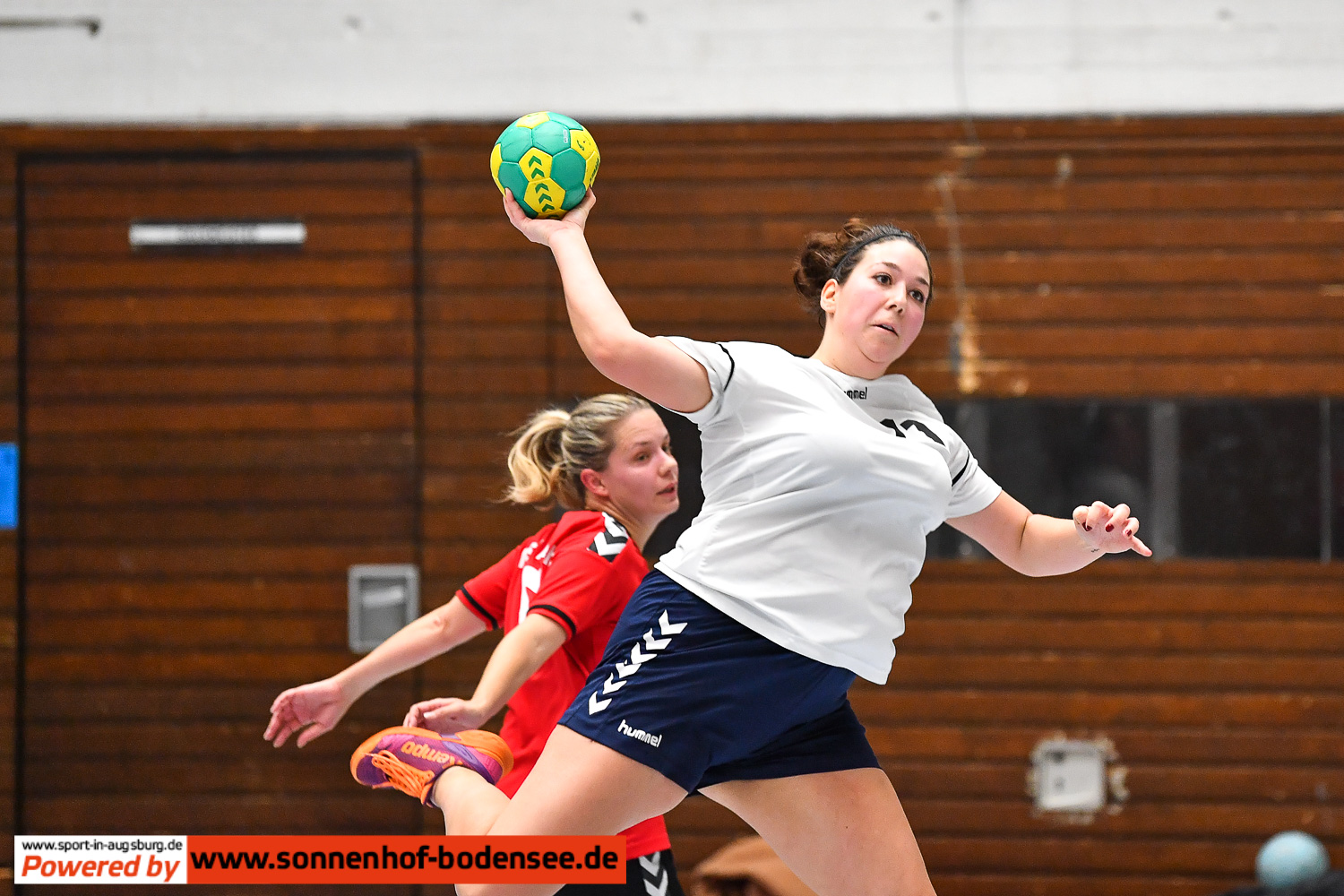 TSV Göggingen Frauen Handball  AEV 0944