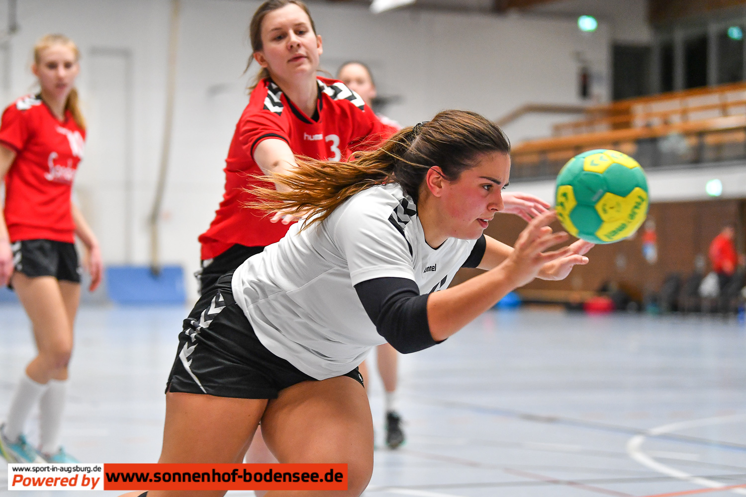 TSV Göggingen Frauen Handball  AEV 0895