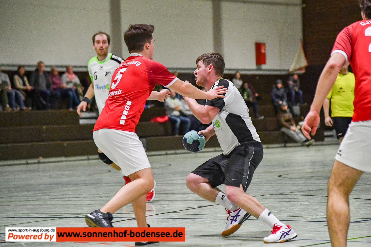 Handball in Augsburg DSC 2888