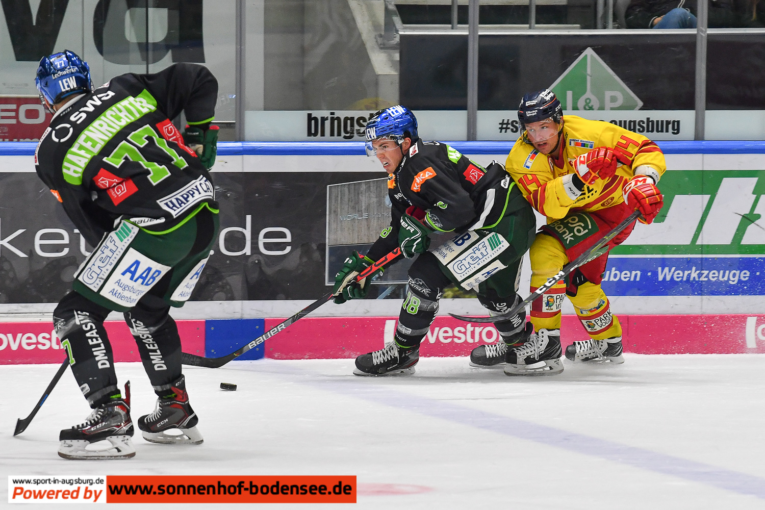 eishockey-in-augsburg- 8329