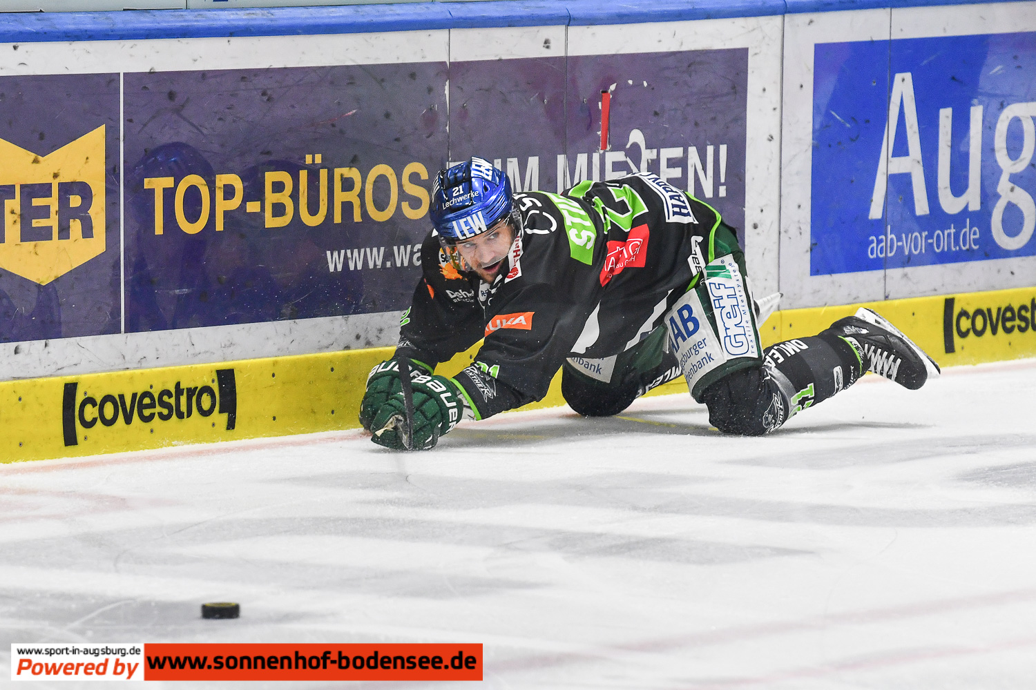 aev-düsseldorf-eishockey- 8240