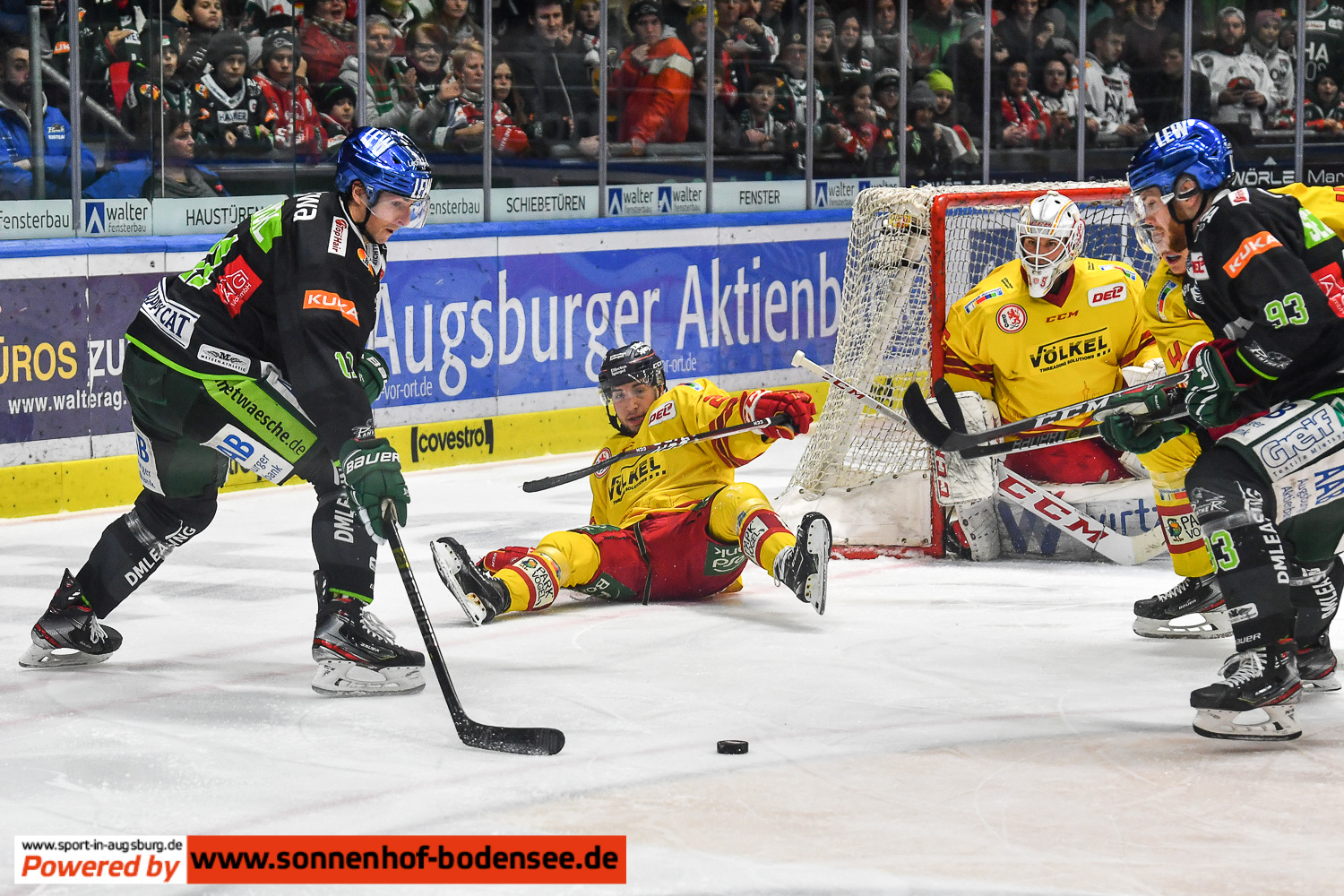 aev-düsseldorf-eishockey- 8273