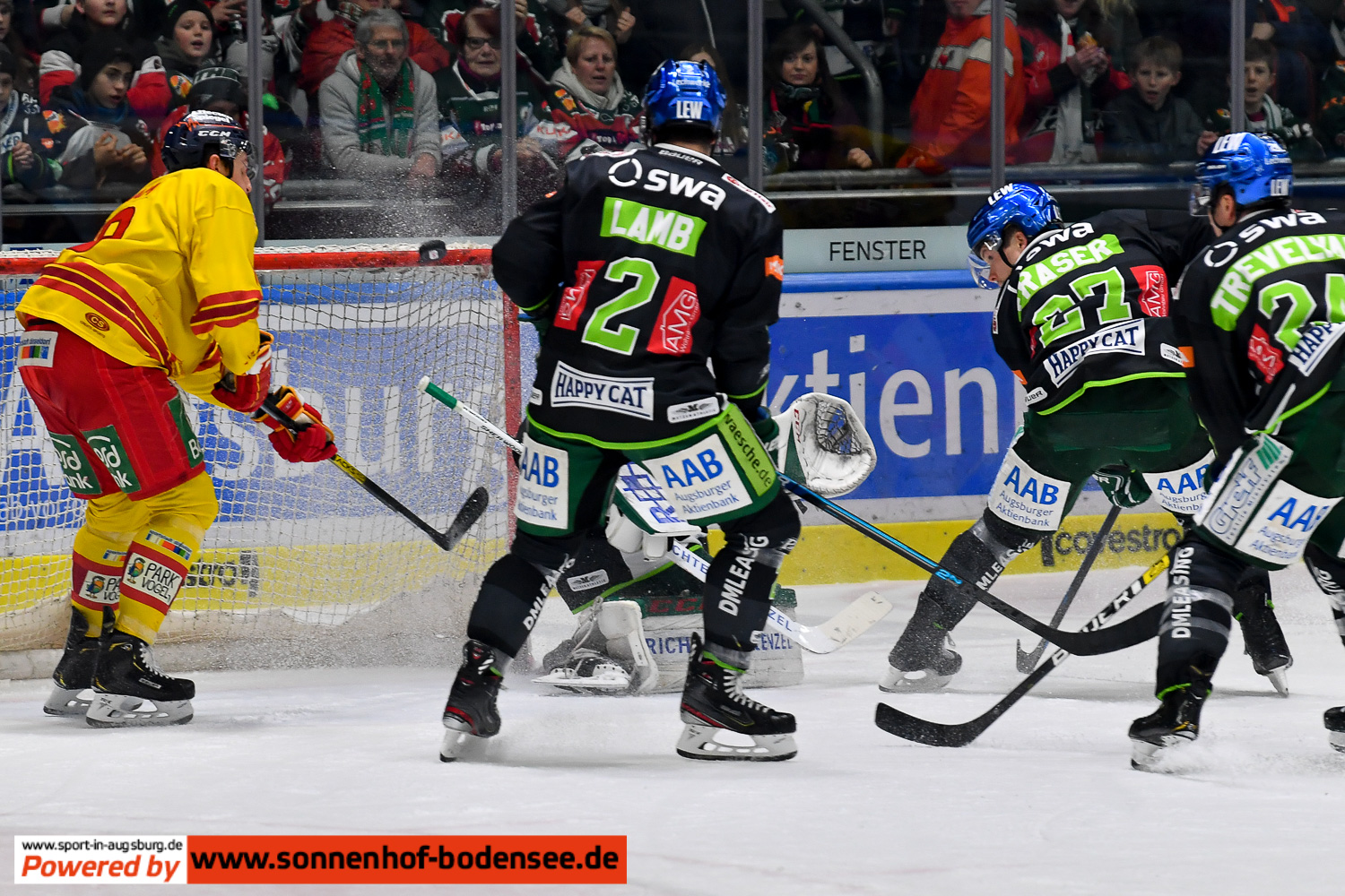 aev-düsseldorf-eishockey- 8129