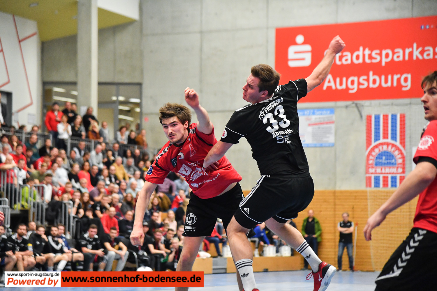 vfl-günzburg-handball- 9134
