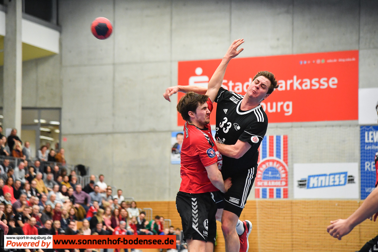 vfl-günzburg-handball- 9131