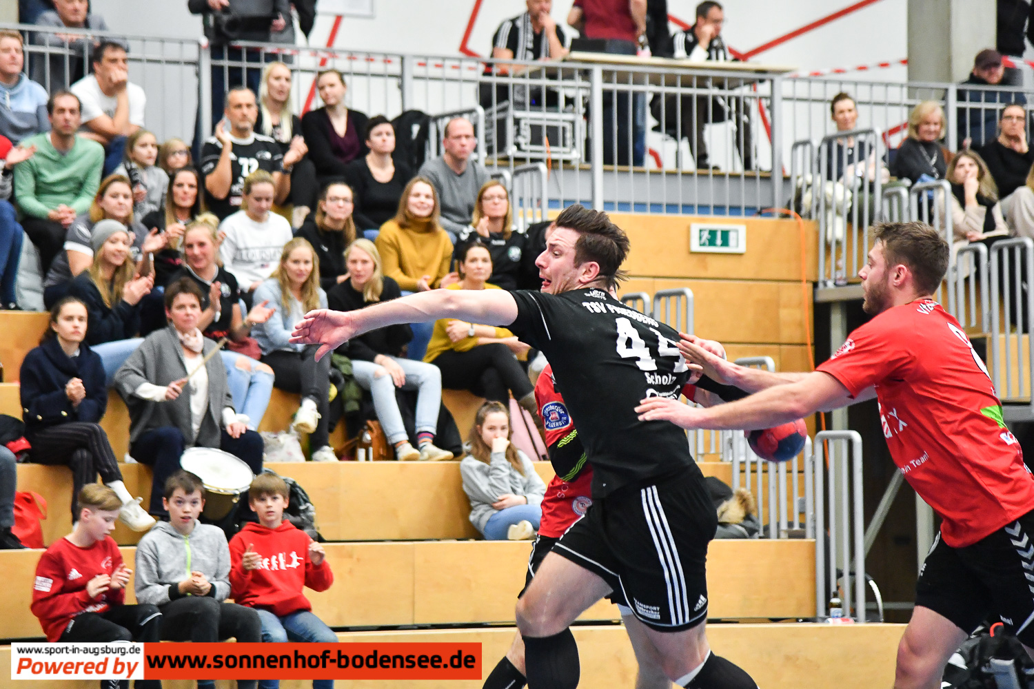 vfl-günzburg-handball- 9116