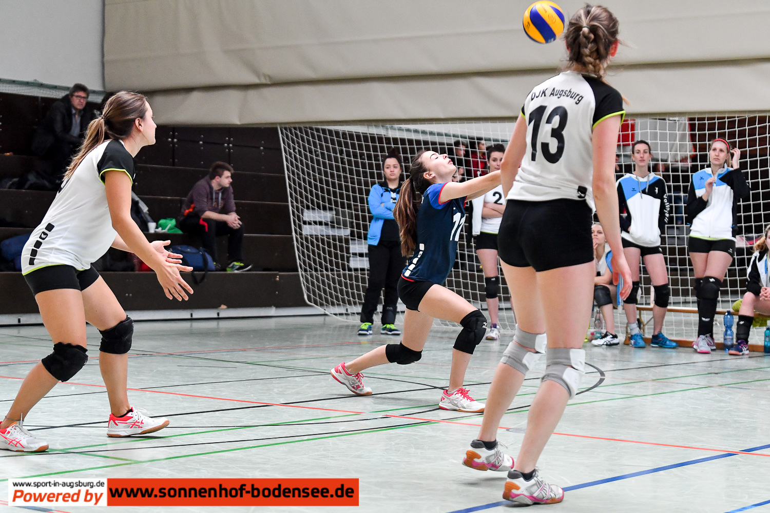 volleyball-augsburgl  4637