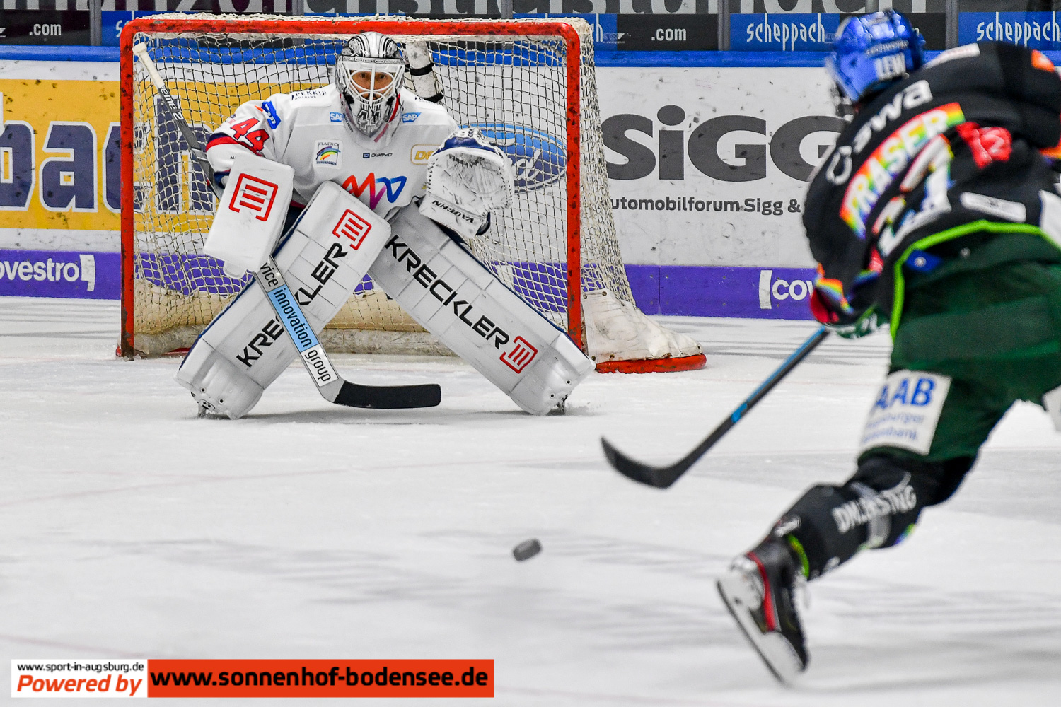 aev-mannheim-adler-eishockey  9407