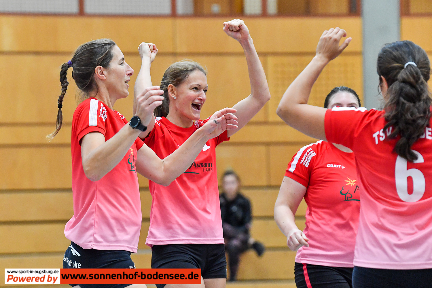 TSV Friedberg Volleyball Damen 7041