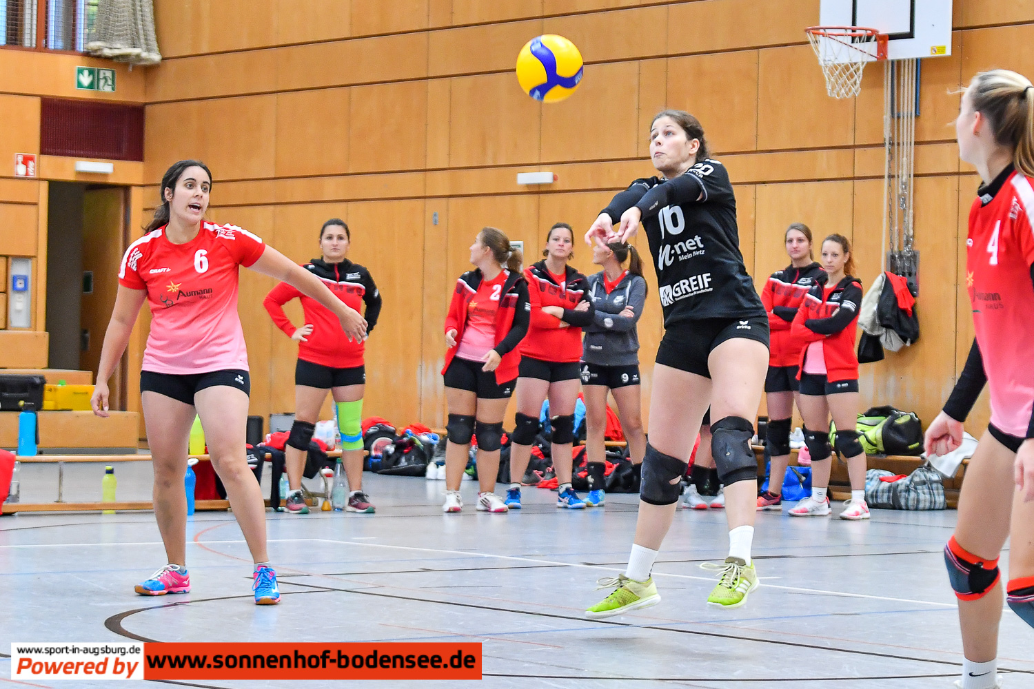 TSV Friedberg Volleyball Damen 7111