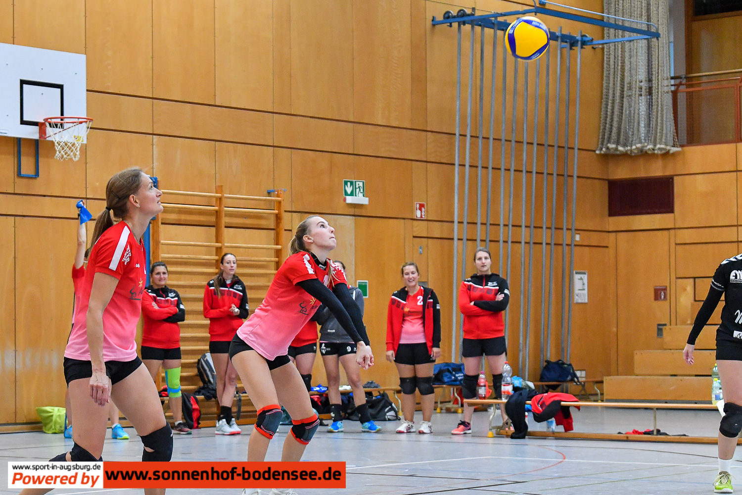 TSV Friedberg Volleyball Damen 6780