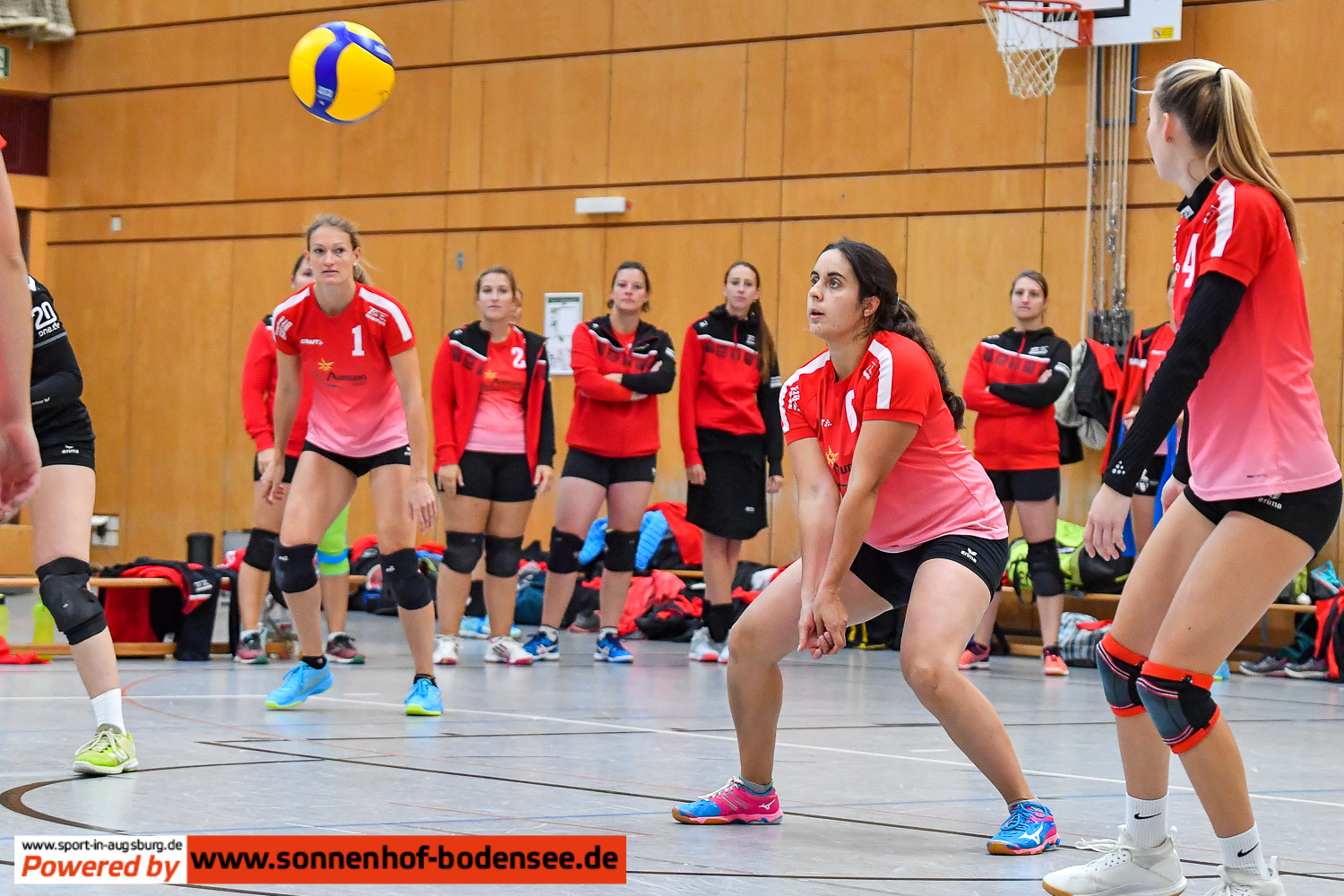TSV Friedberg Volleyball Damen 6985