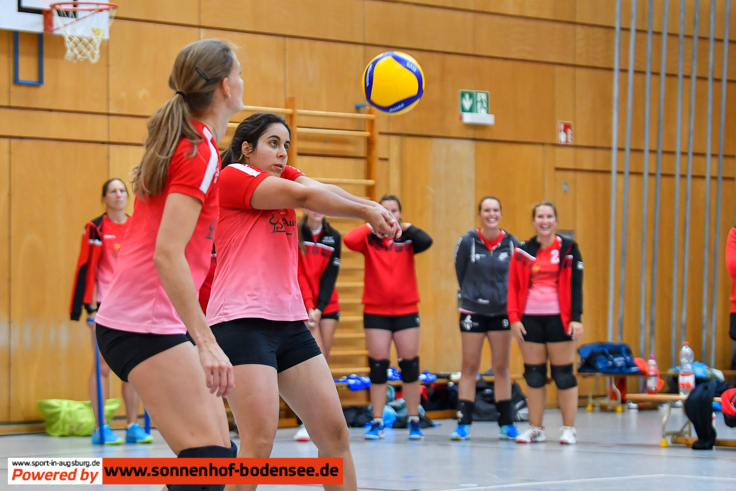 TSV Friedberg Volleyball Damen 6733