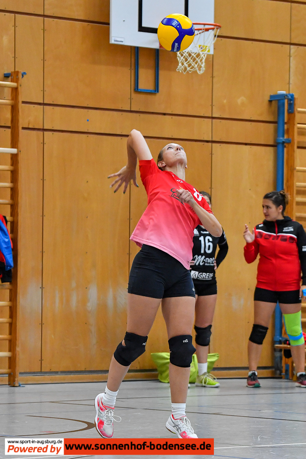 TSV Friedberg Volleyball Damen 6818