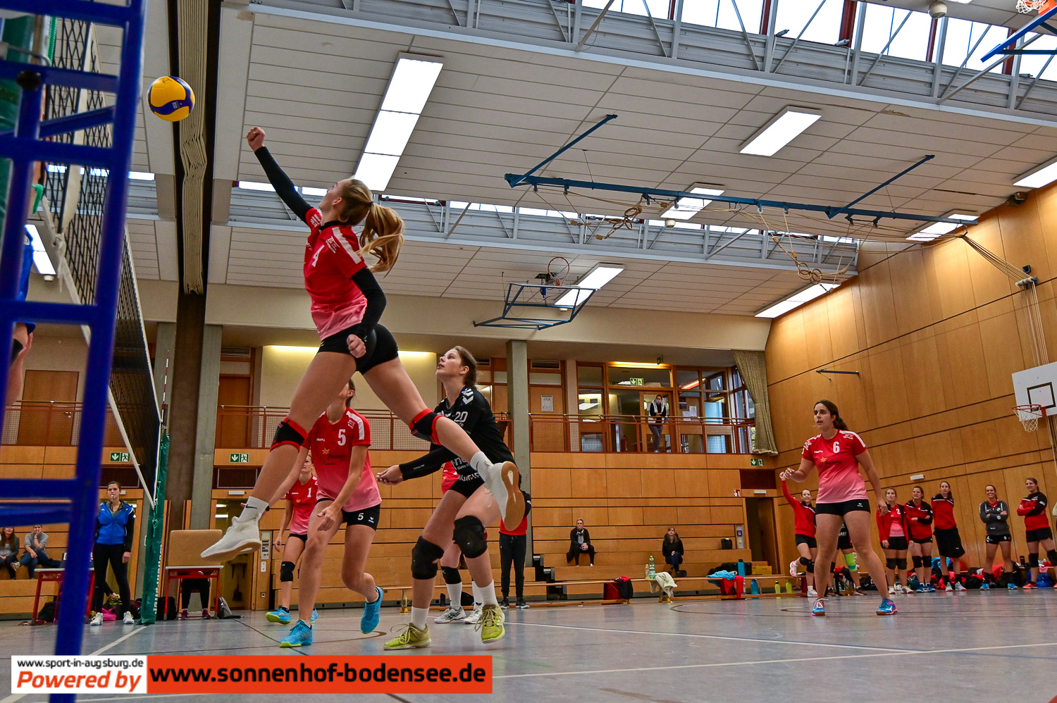 TSV Friedberg Volleyball Damen  DSC 4213