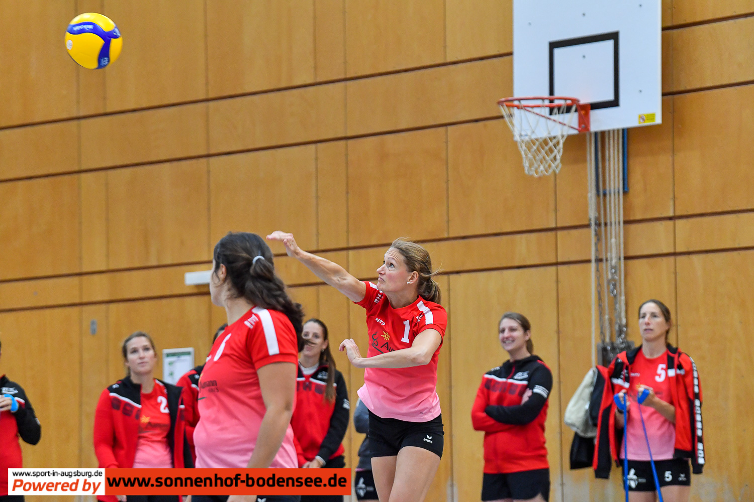 TSV Friedberg Volleyball Damen 6950