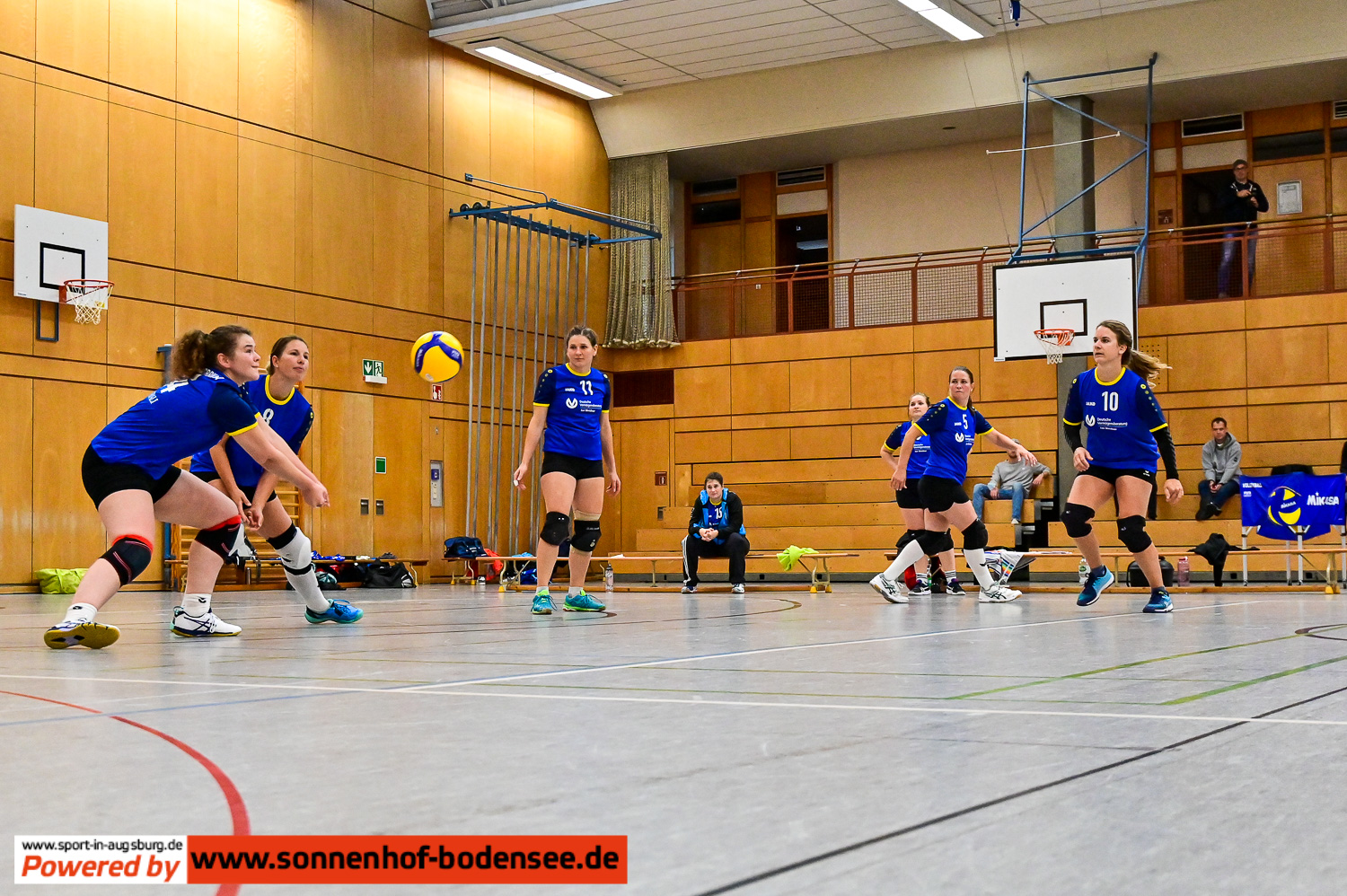 TSV Friedberg Volleyball Damen  DSC 4234