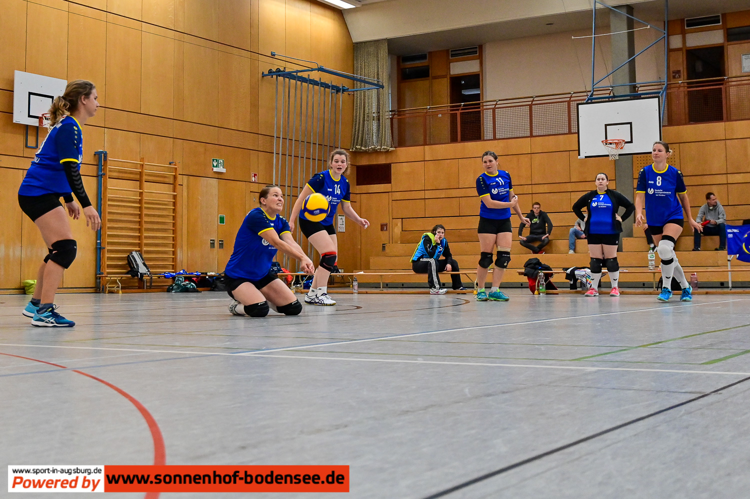 TSV Friedberg Volleyball Damen  DSC 4200