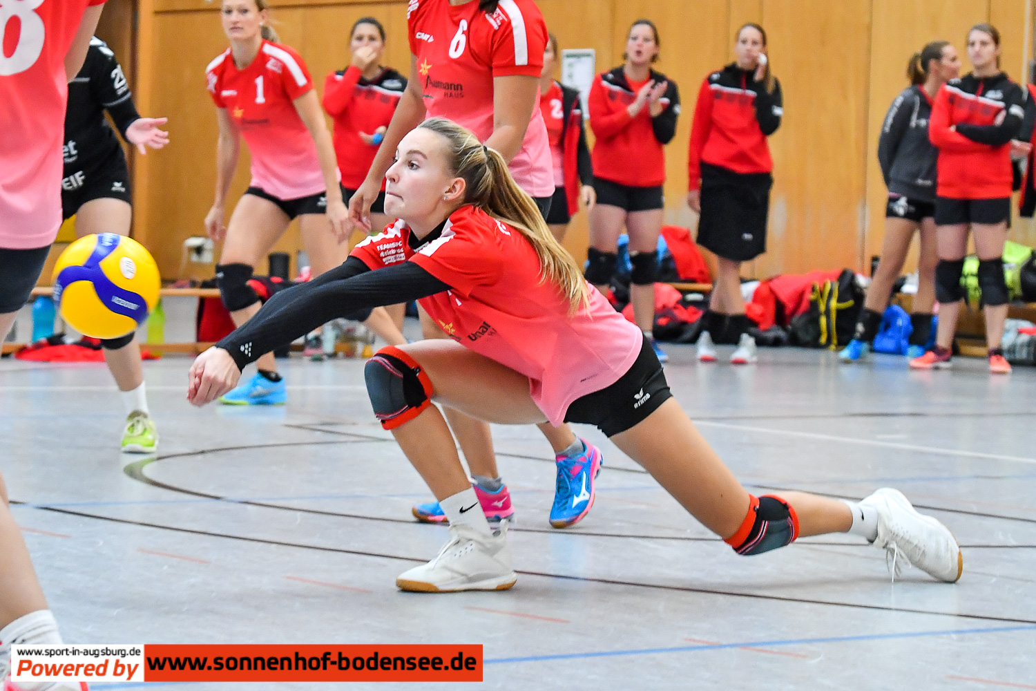 TSV Friedberg Volleyball Damen 6993