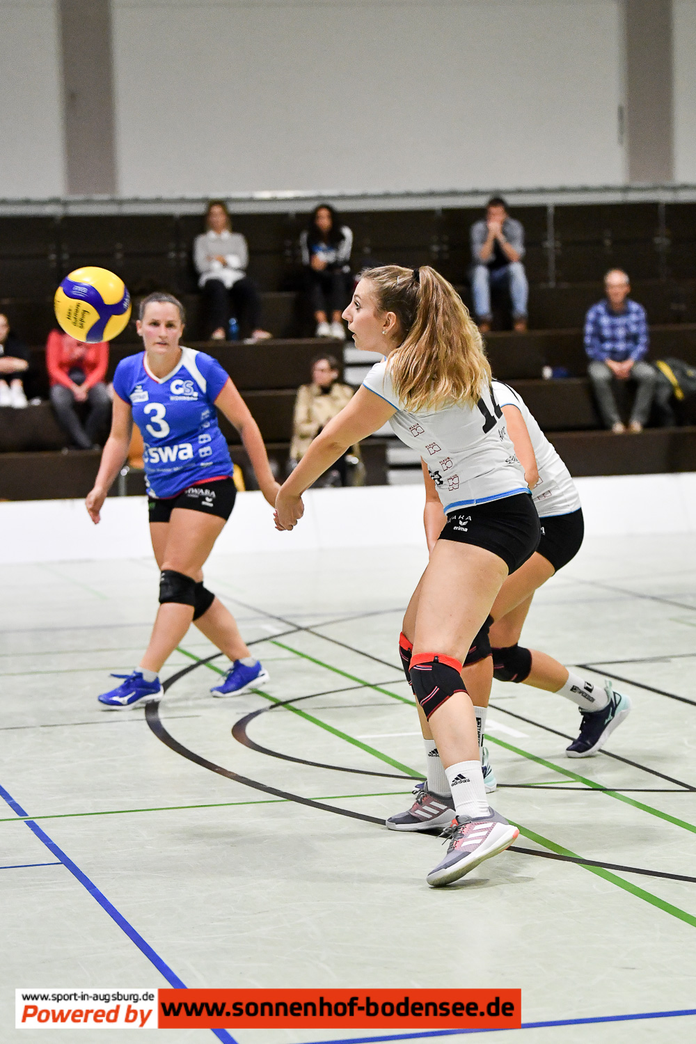 dritte-liga-volleyball-damen-DSC 0522