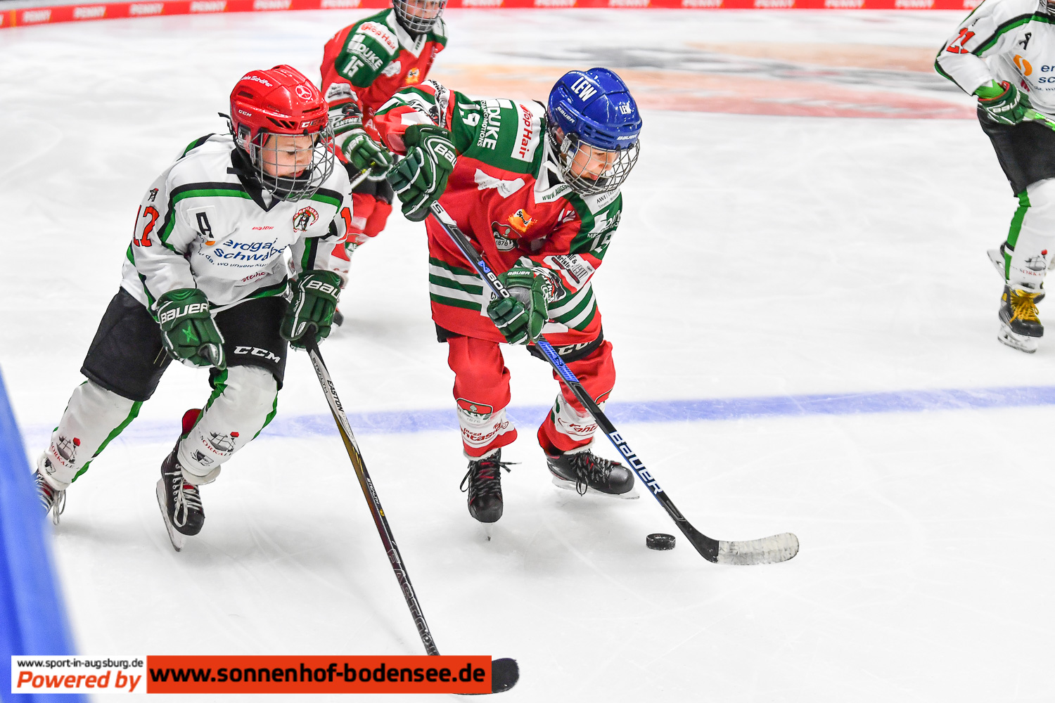 Augsburger EV Eishockey  8953