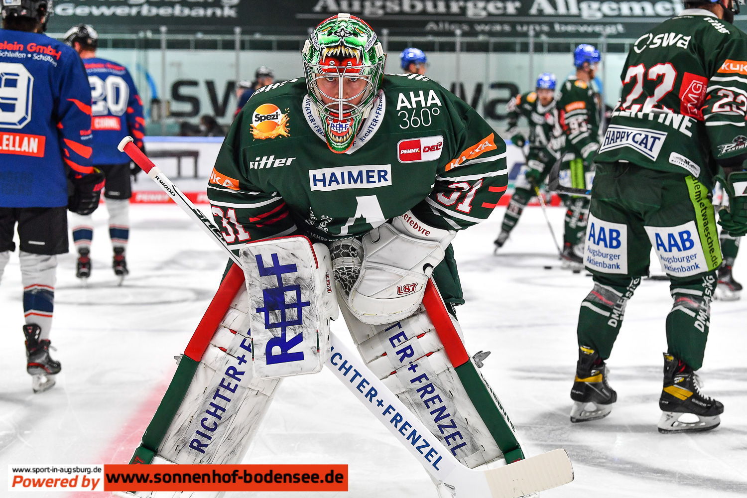 Eishockey-Augsburg-Nürnberg 8710