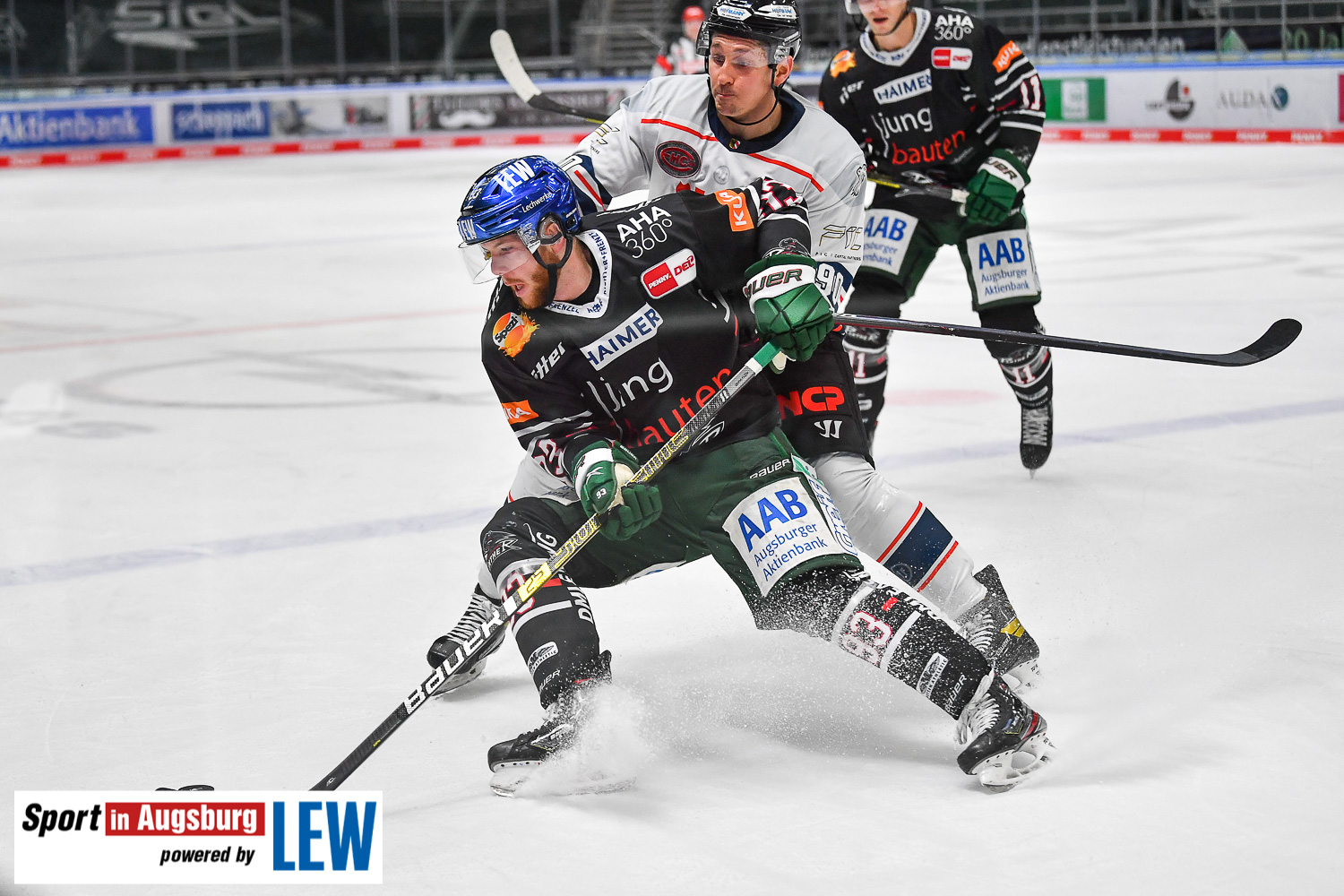 DEL Eishockey AEV-Panther  2162