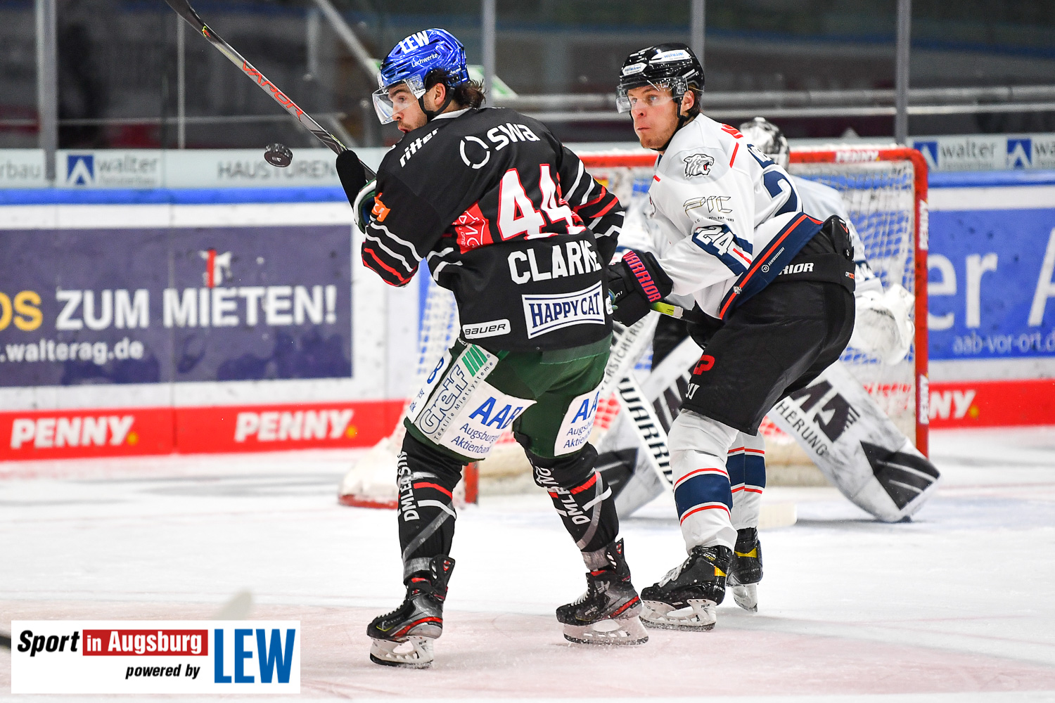 DEL Eishockey AEV-Panther  2499