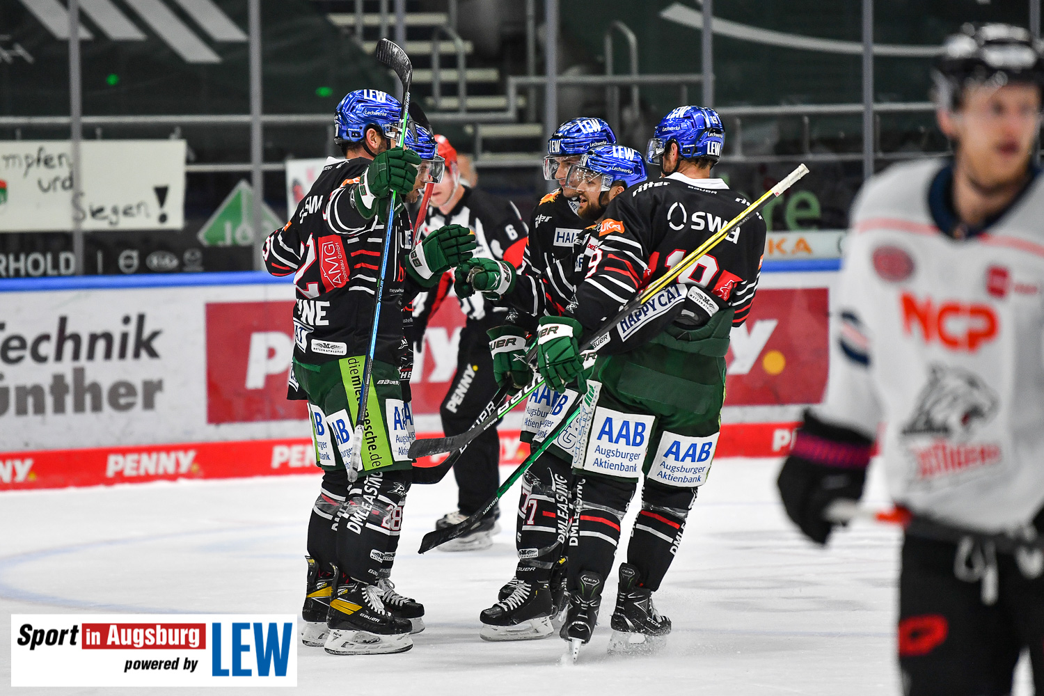 DEL Eishockey AEV-Panther  2264