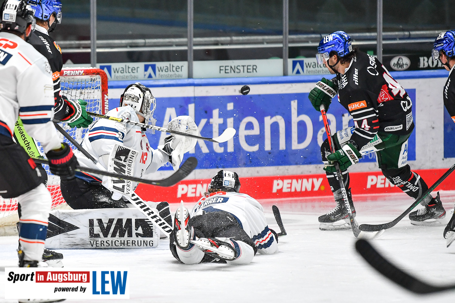 DEL Eishockey AEV-Panther  2472