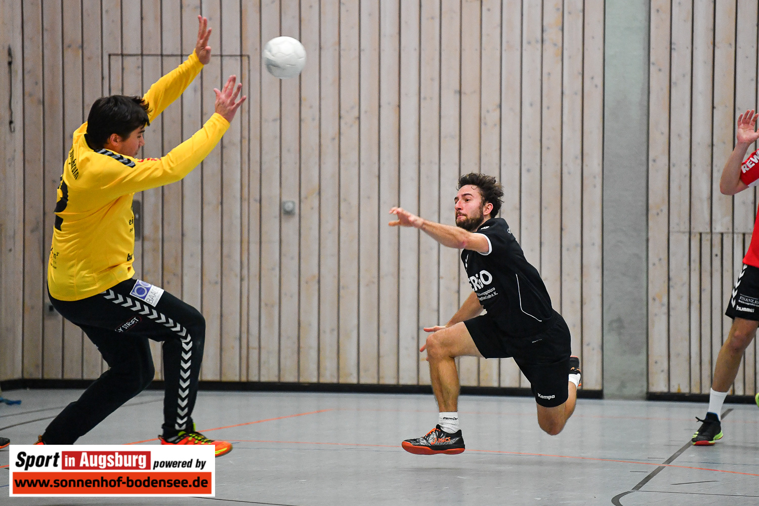 Handball in Augsburg  SIA 8524
