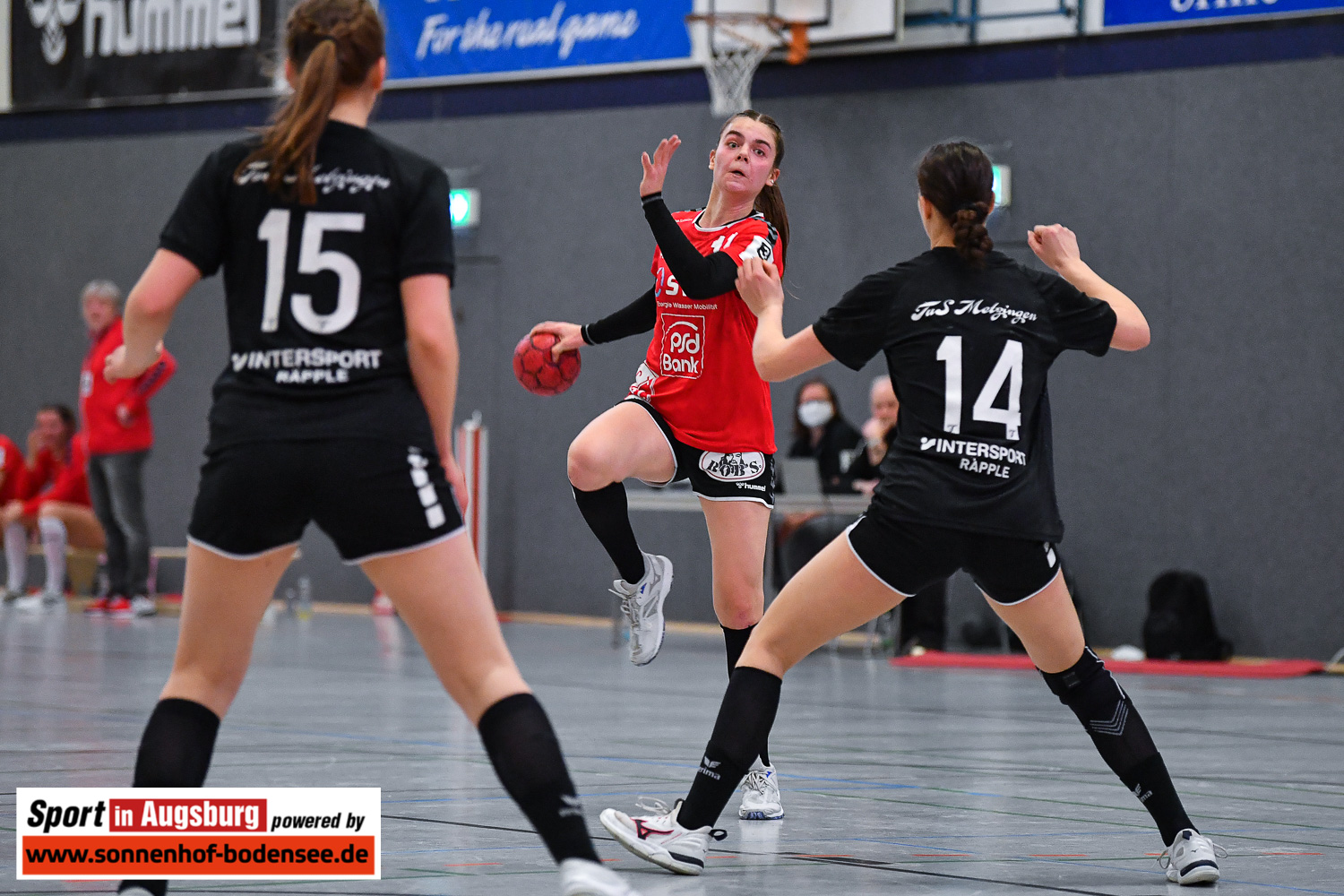 Handball Damen Haunstetten  SIA 0229